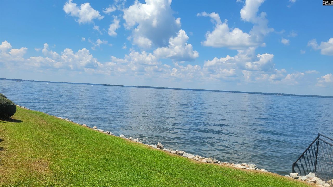 1441 Old Chapin Road Photo 60