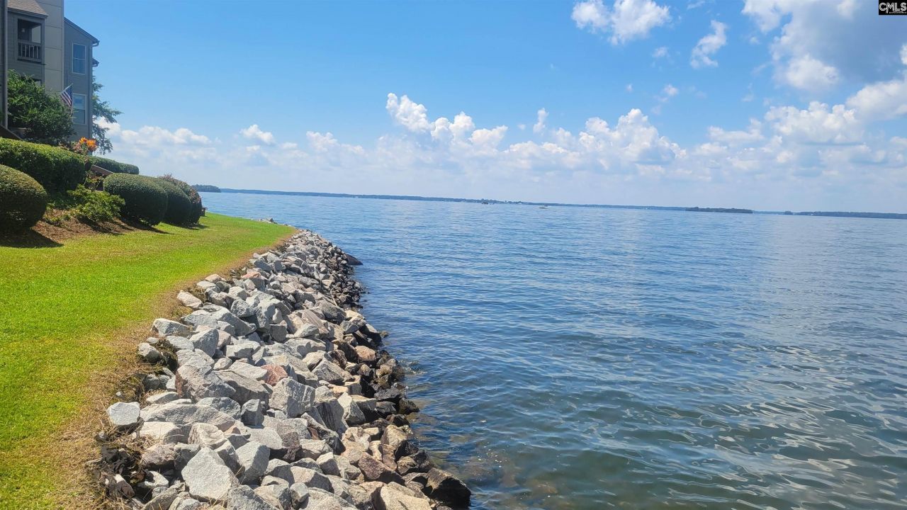 1441 Old Chapin Road Photo 61