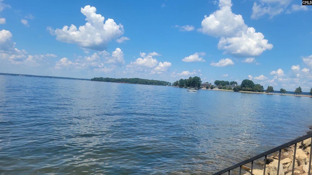 1441 Old Chapin Road Photo 62