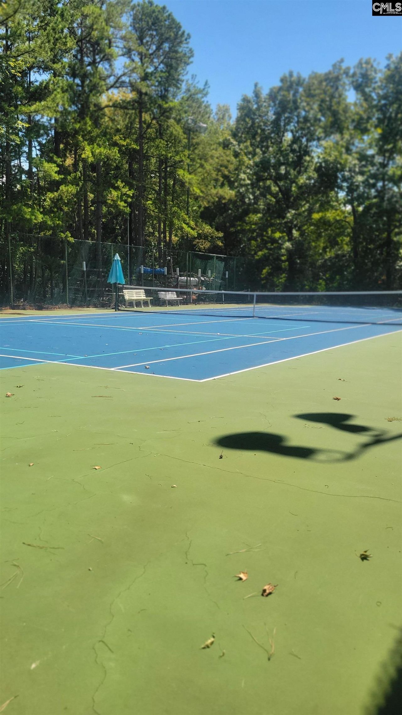 1441 Old Chapin Road Photo 65