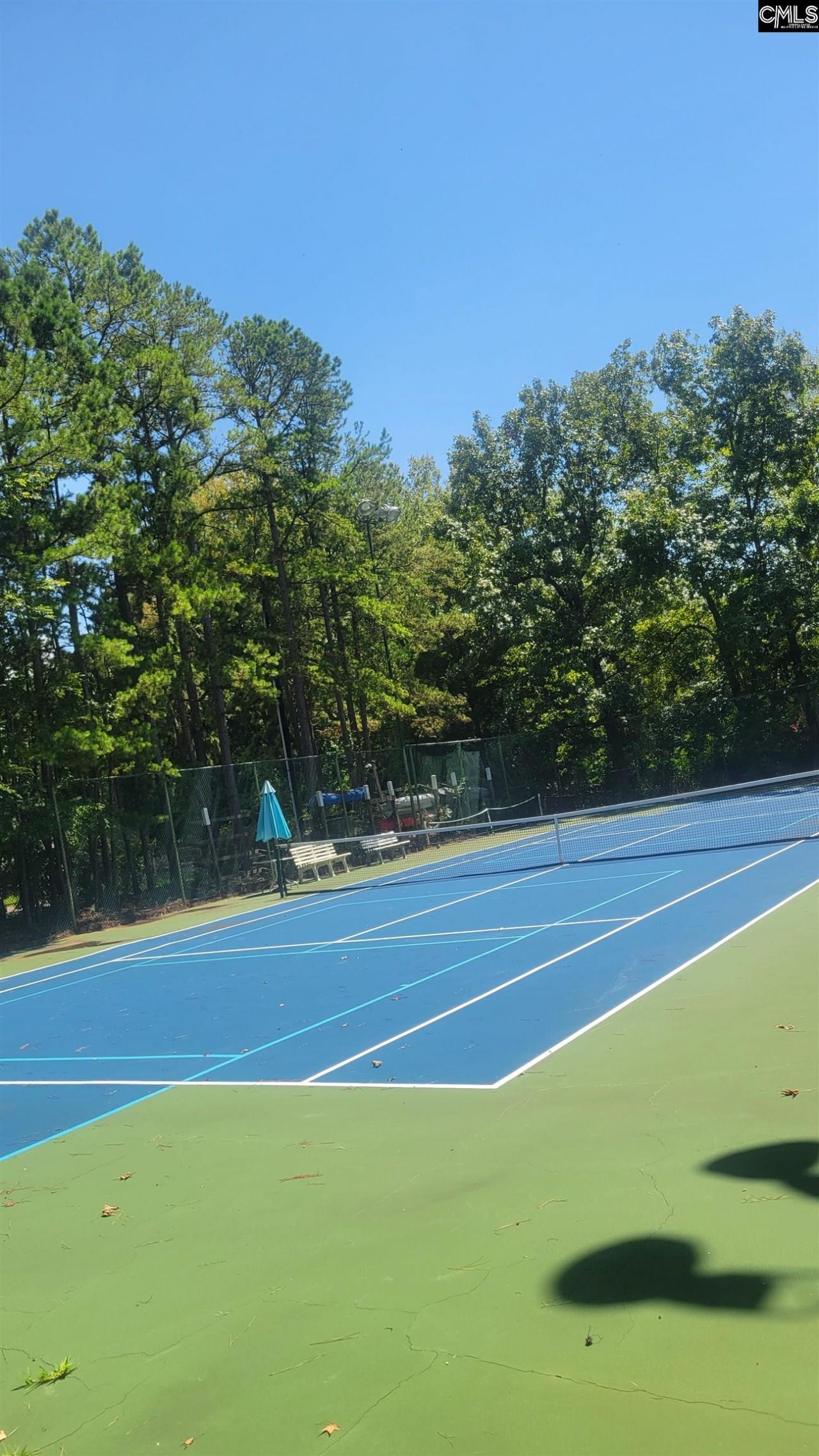 1441 Old Chapin Road Photo 66