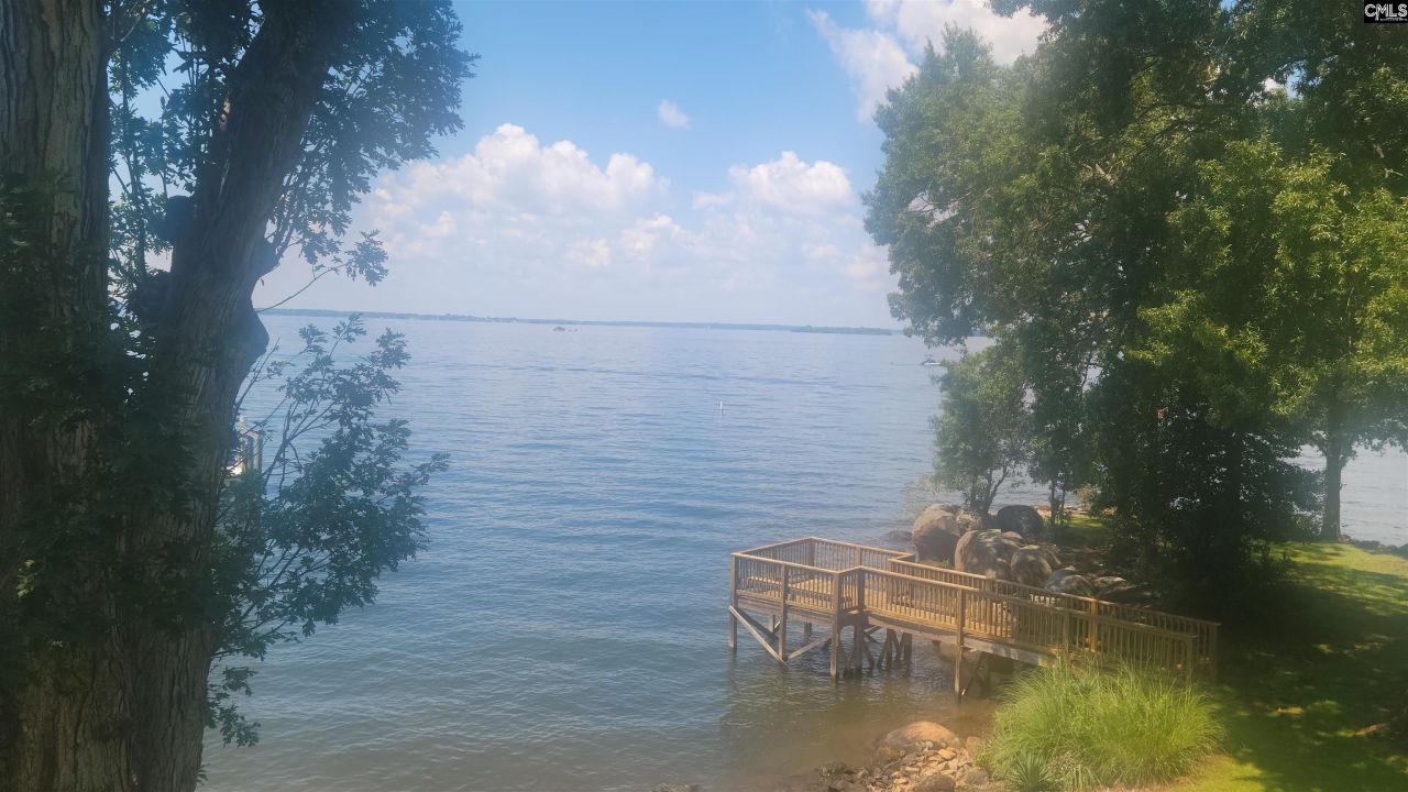 1441 Old Chapin Road Photo 8