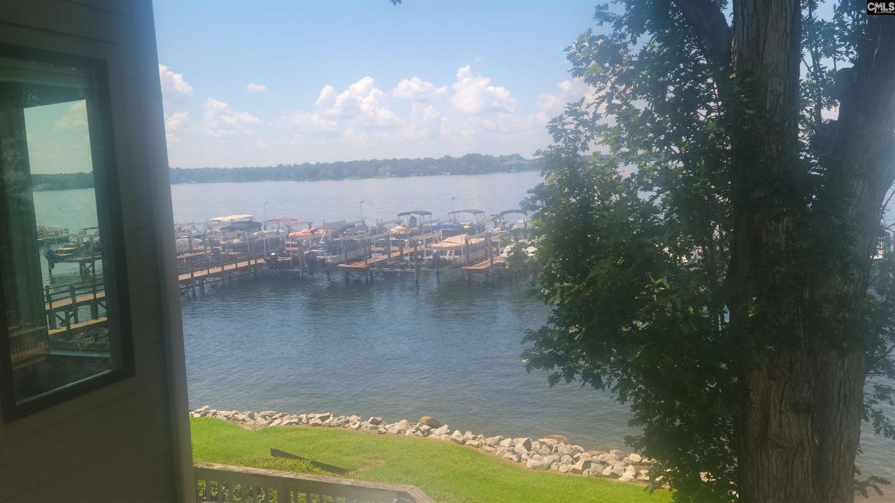 1441 Old Chapin Road Photo 9