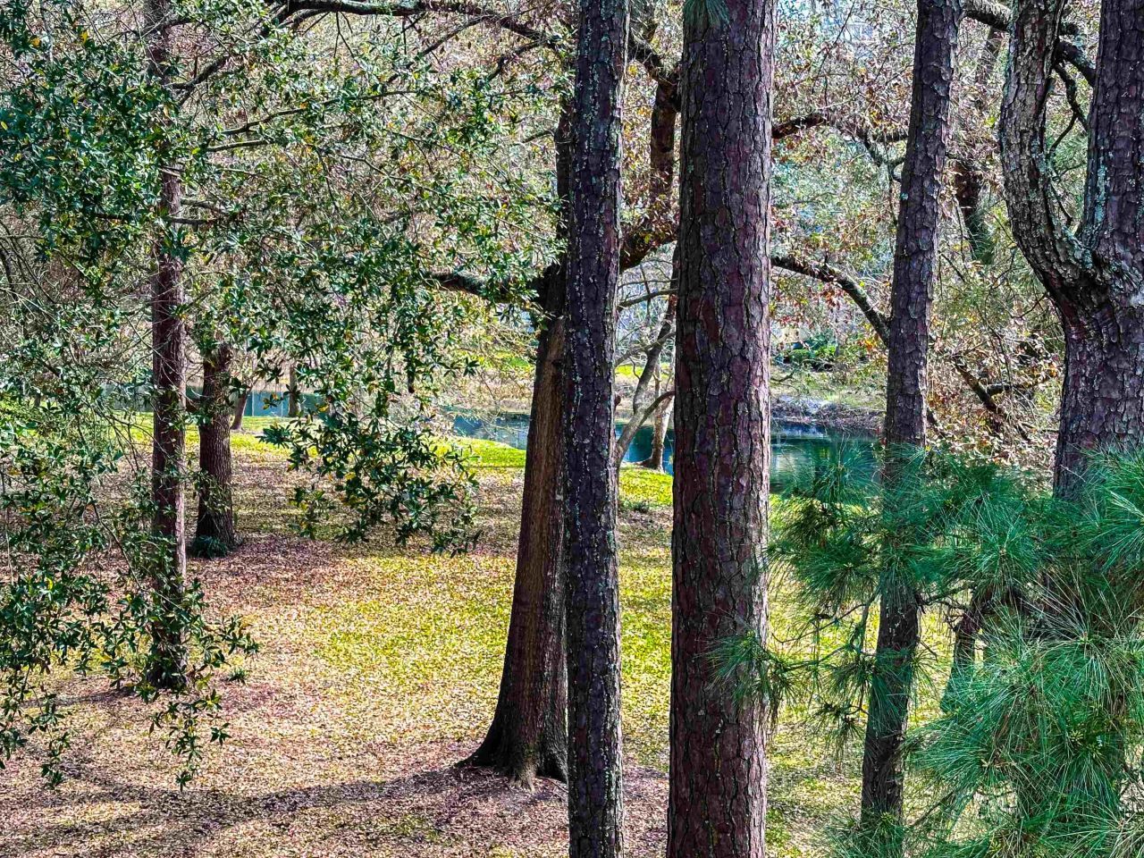 230 Westleton Dr. Photo 10