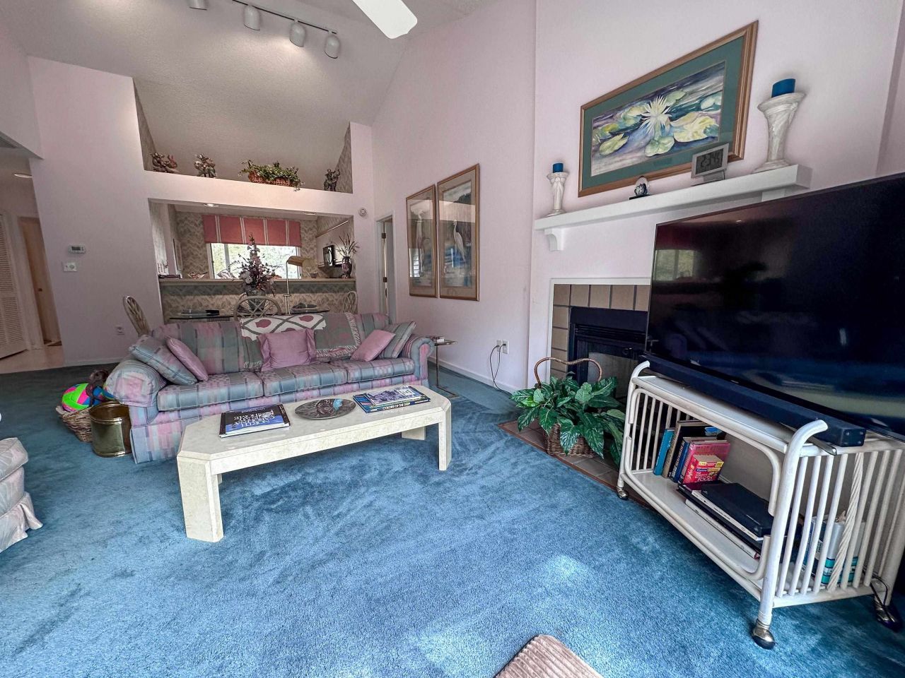 230 Westleton Dr. Photo 13