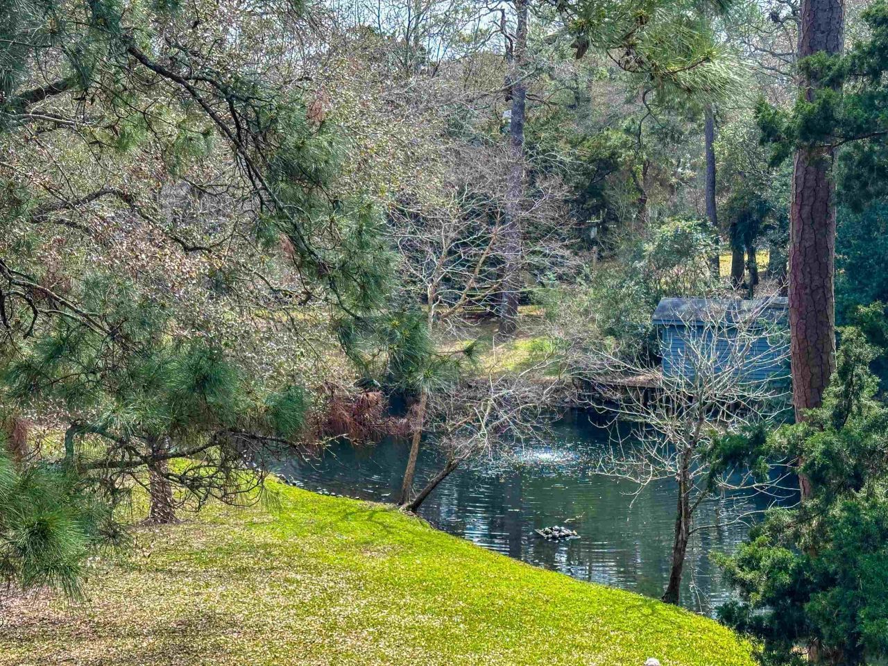 230 Westleton Dr. Photo 9