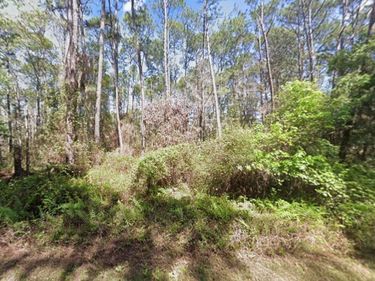 418 PALM WAY, GEORGETOWN, FL 32139