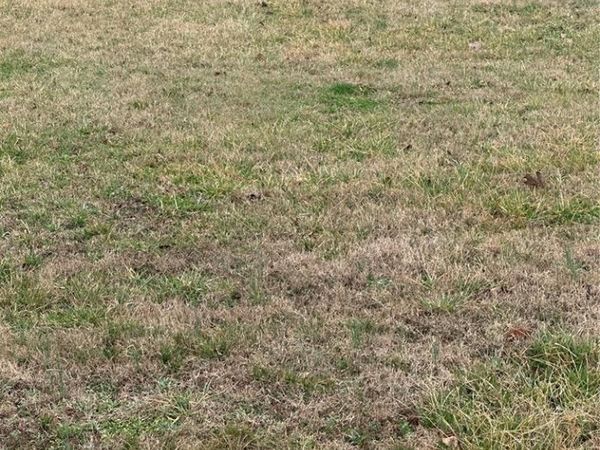 3 Oxen Pasture Road , Doniphan, MO 63935