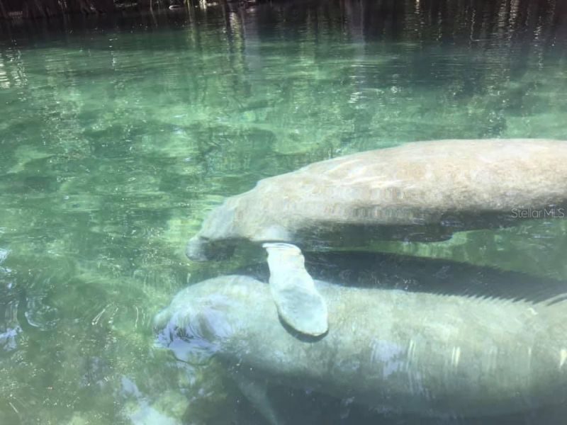 1376 Riverside Avenue , Fort White, FL 32038 Photo