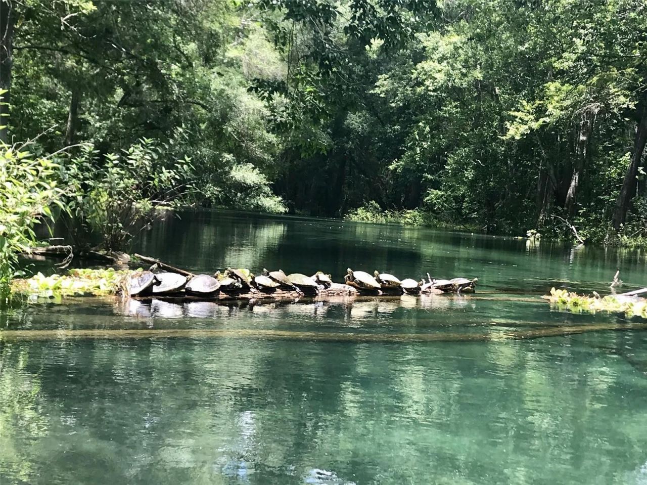 1376 Riverside Avenue , Fort White, FL 32038 Photo