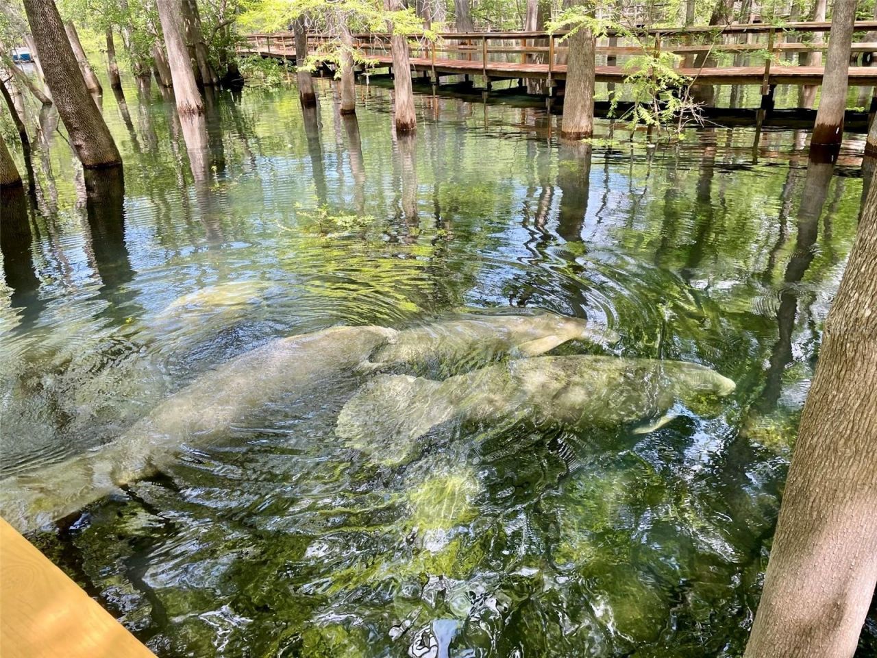 1376 Riverside Avenue , Fort White, FL 32038 Photo