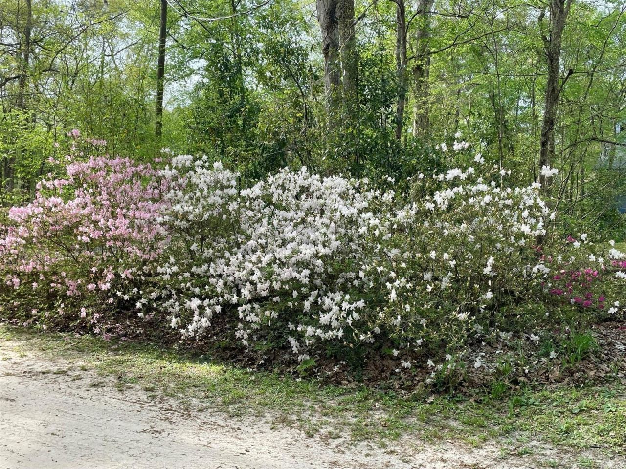 1376 Riverside Avenue , Fort White, FL 32038 Photo