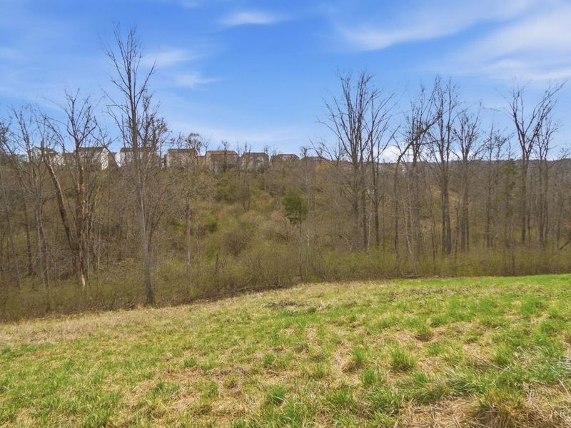 113 Sunrise Lane, New Richmond, OH 45157 Photo 49