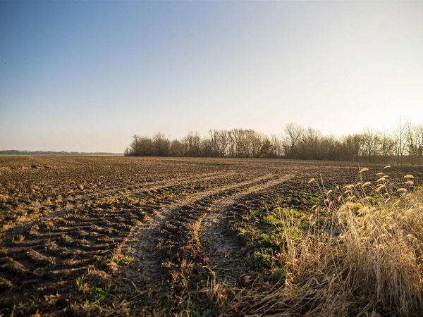 SE SEC 23 Keene Township, Loraine, IL 62349