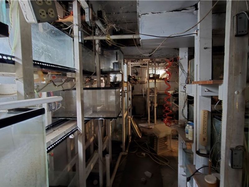 237 N Turner Road, Youngstown, OH 44515 Photo 22