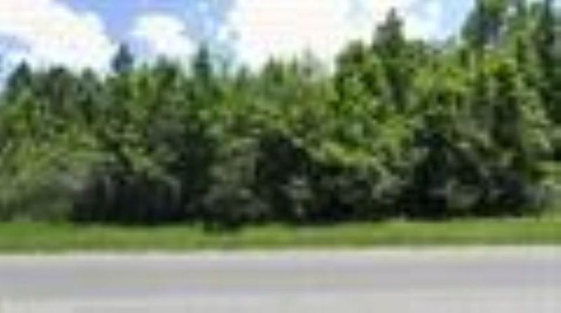 Xxxxx NW County Road 12, Bristol, FL 32321 Photo