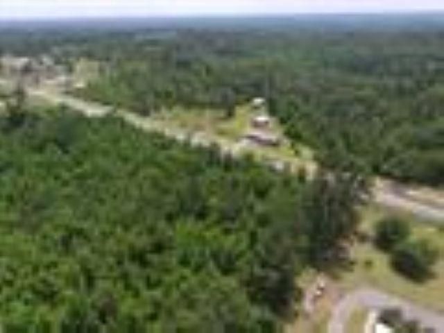 Xxxxx NW County Road 12, Bristol, FL 32321 Photo