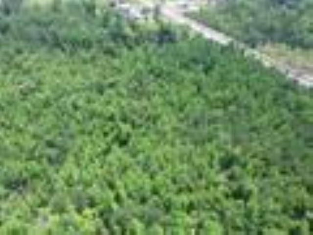 Xxxxx NW County Road 12, Bristol, FL 32321 Photo