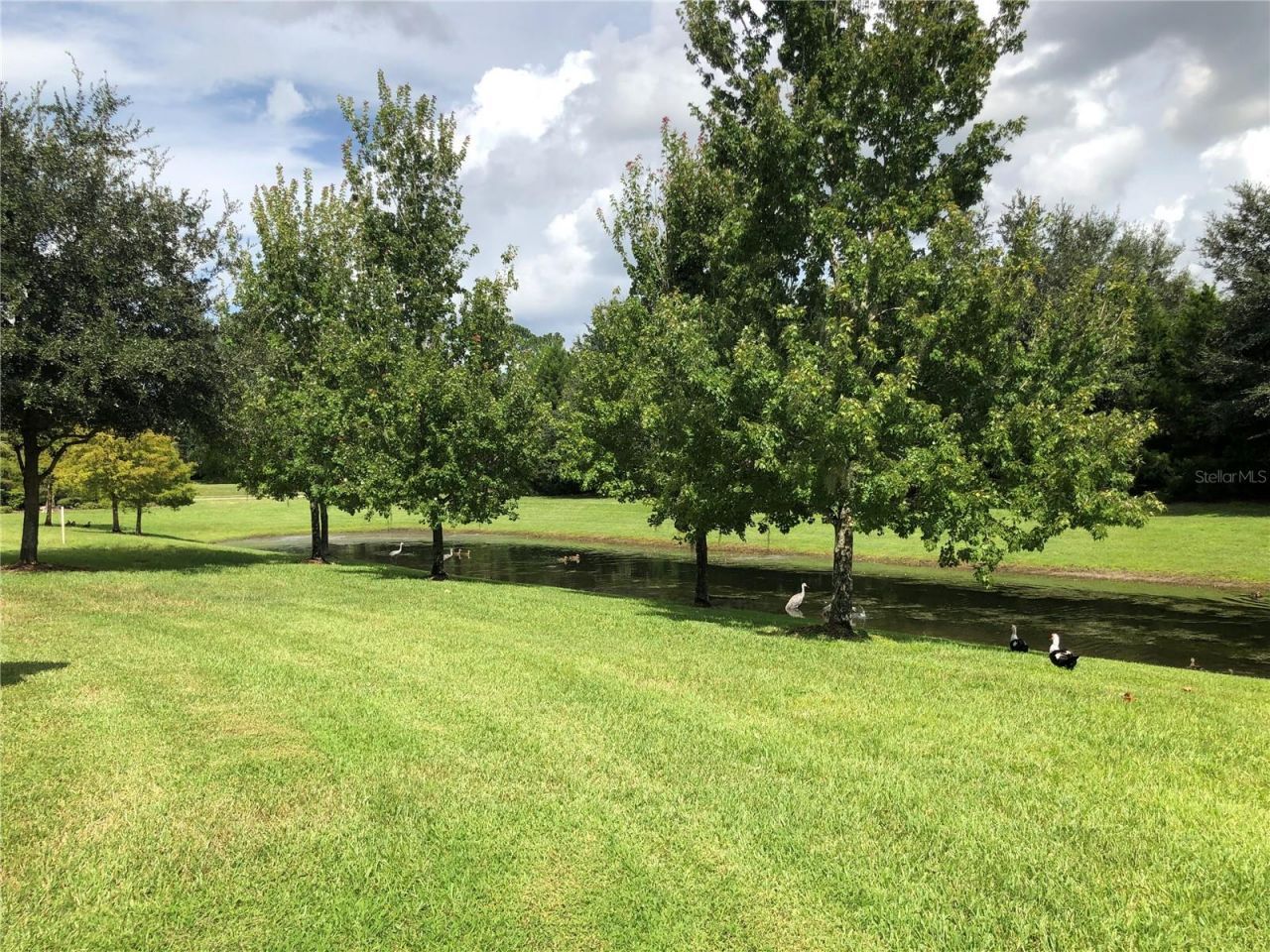 1548 Purple Plum Lane, Oviedo, FL 32765 Photo
