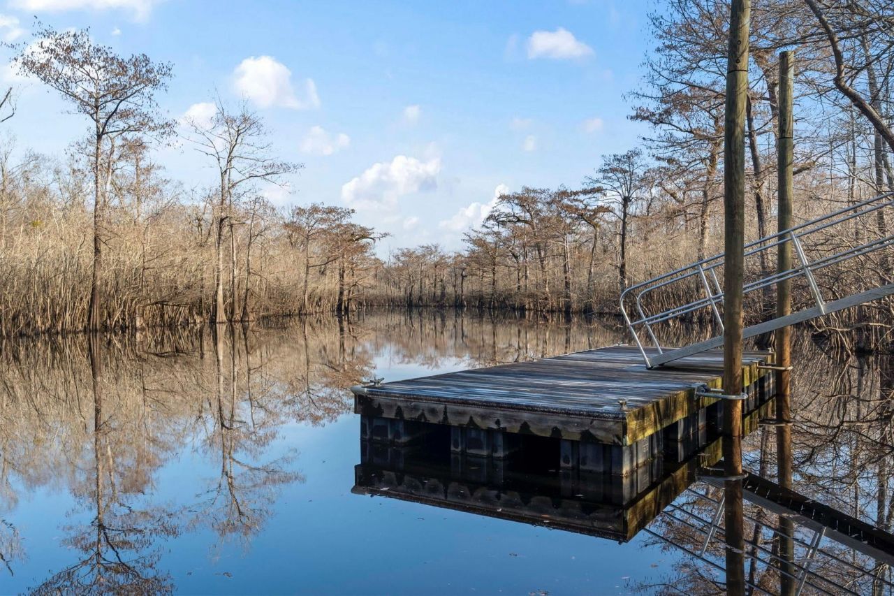 712 Tilly Pine Dr. Photo 56