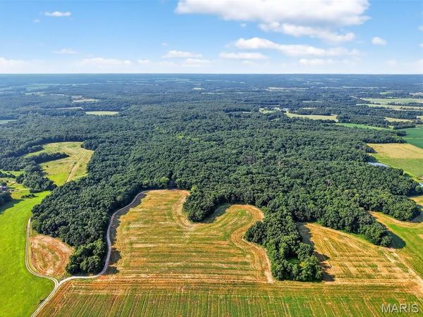 116+/- Acres State Hwy DD, Bellflower, MO 63333