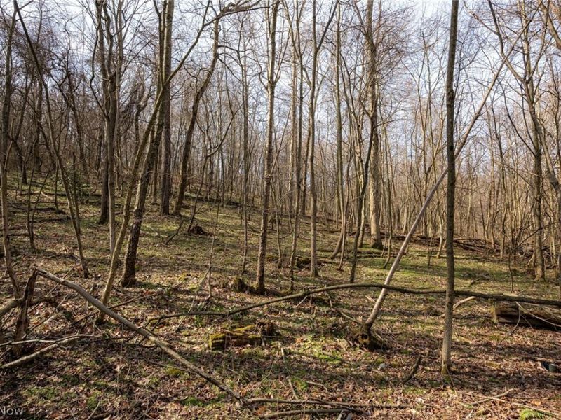 46723 Township Road 74, Coshocton, OH 43812 Photo 8