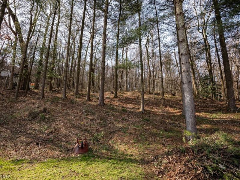 46723 Township Road 74, Coshocton, OH 43812 Photo 9