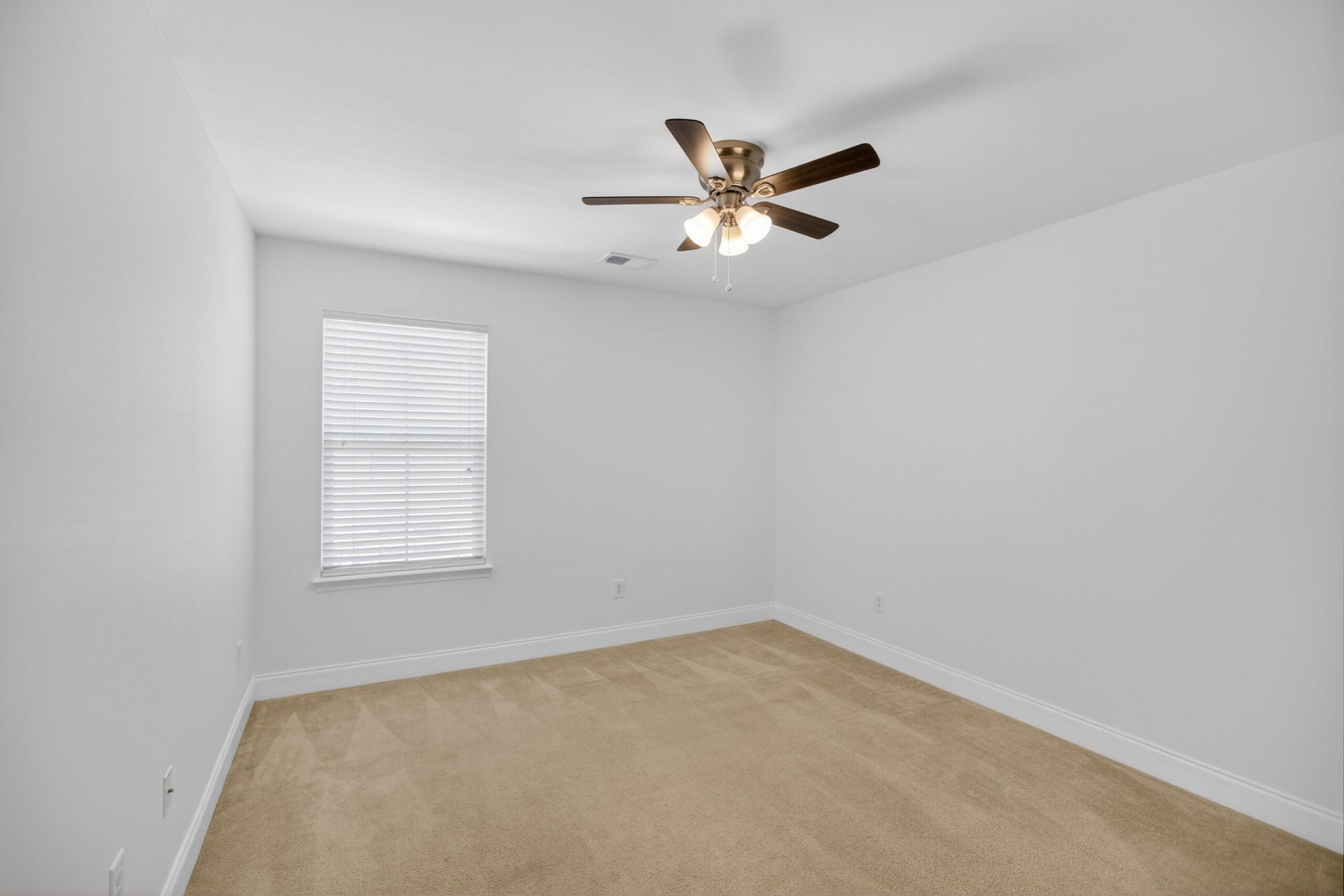 322 Weeping Willow Way Photo 19