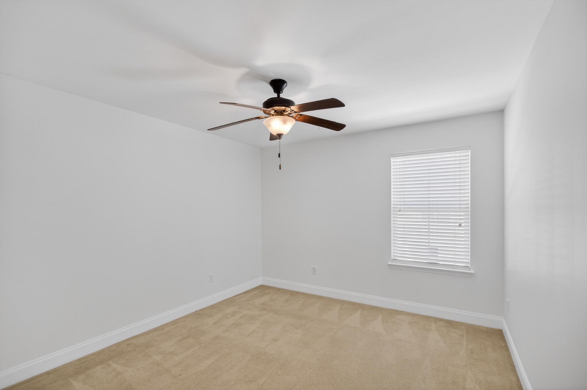 322 Weeping Willow Way Photo 22