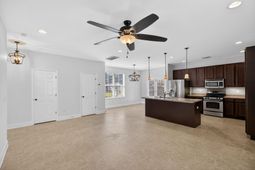 322 Weeping Willow Way photo 4