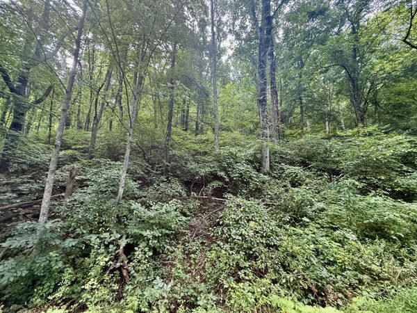 63 Fairway View Dr, Peterstown, WV 24963