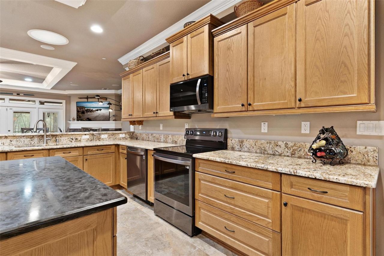 35629 Seneca Reserve Drive, Eustis, FL 32736 Photo