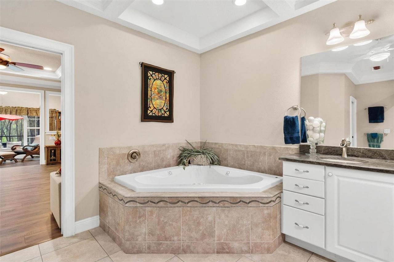 35629 Seneca Reserve Drive, Eustis, FL 32736 Photo