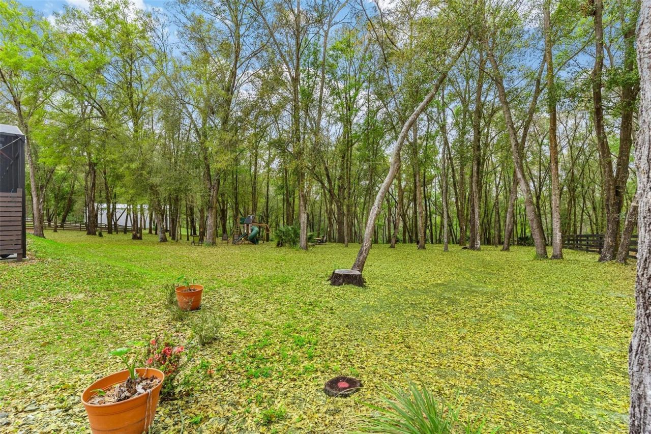 35629 Seneca Reserve Drive, Eustis, FL 32736 Photo