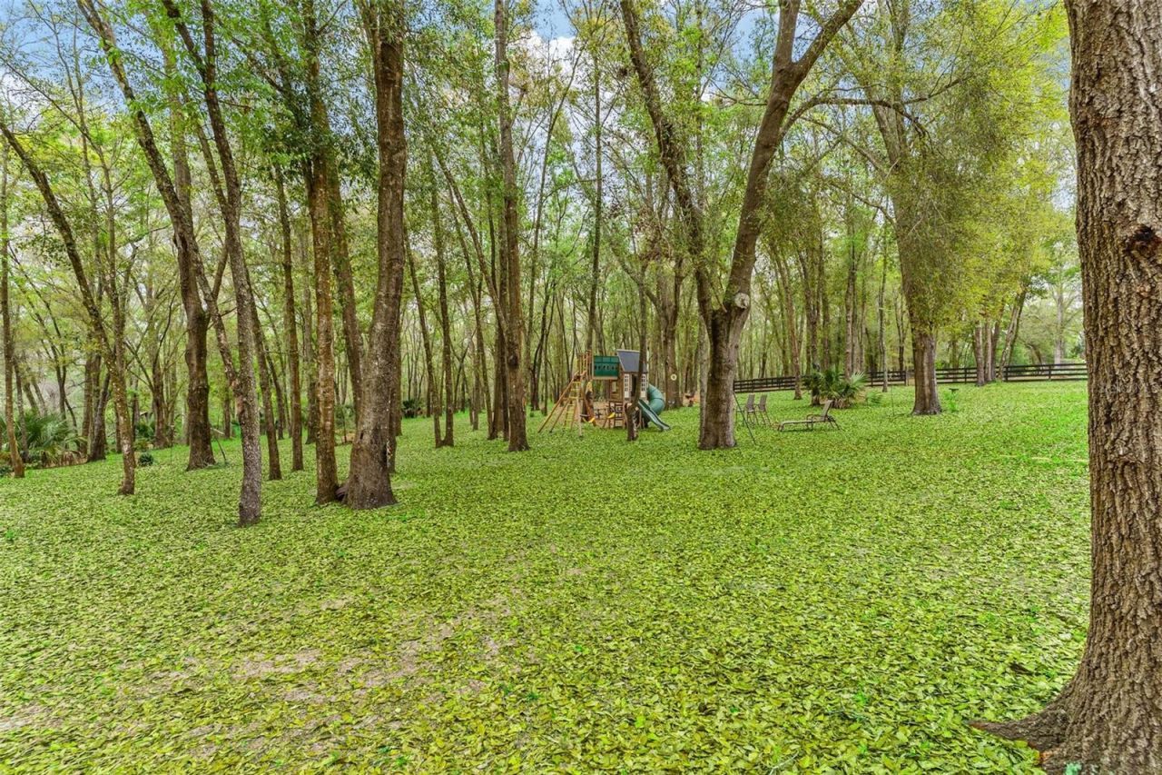 35629 Seneca Reserve Drive, Eustis, FL 32736 Photo