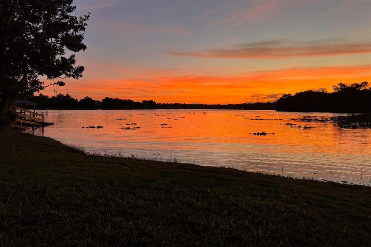 35629 Seneca Reserve Drive, Eustis, FL 32736 Photo