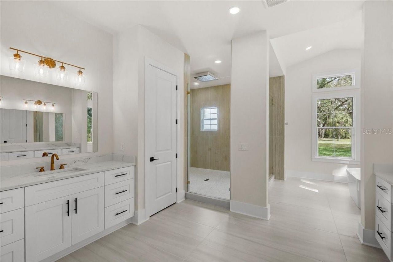 3317 Chase Jackson Branch, Lutz, FL 33559 Photo