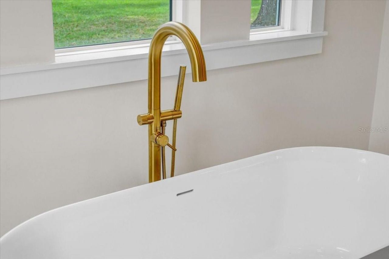 3317 Chase Jackson Branch, Lutz, FL 33559 Photo