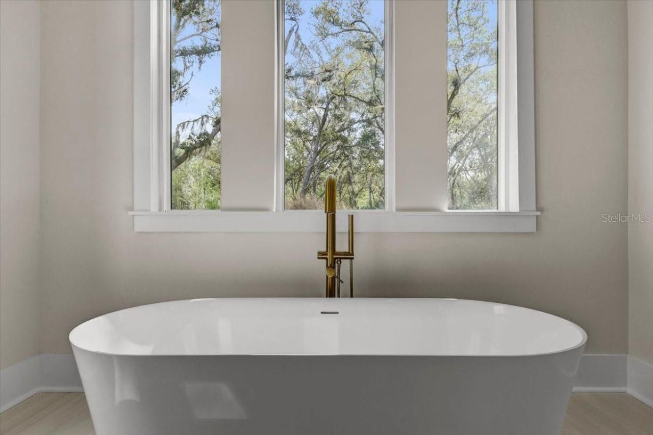 3317 Chase Jackson Branch, Lutz, FL 33559 Photo