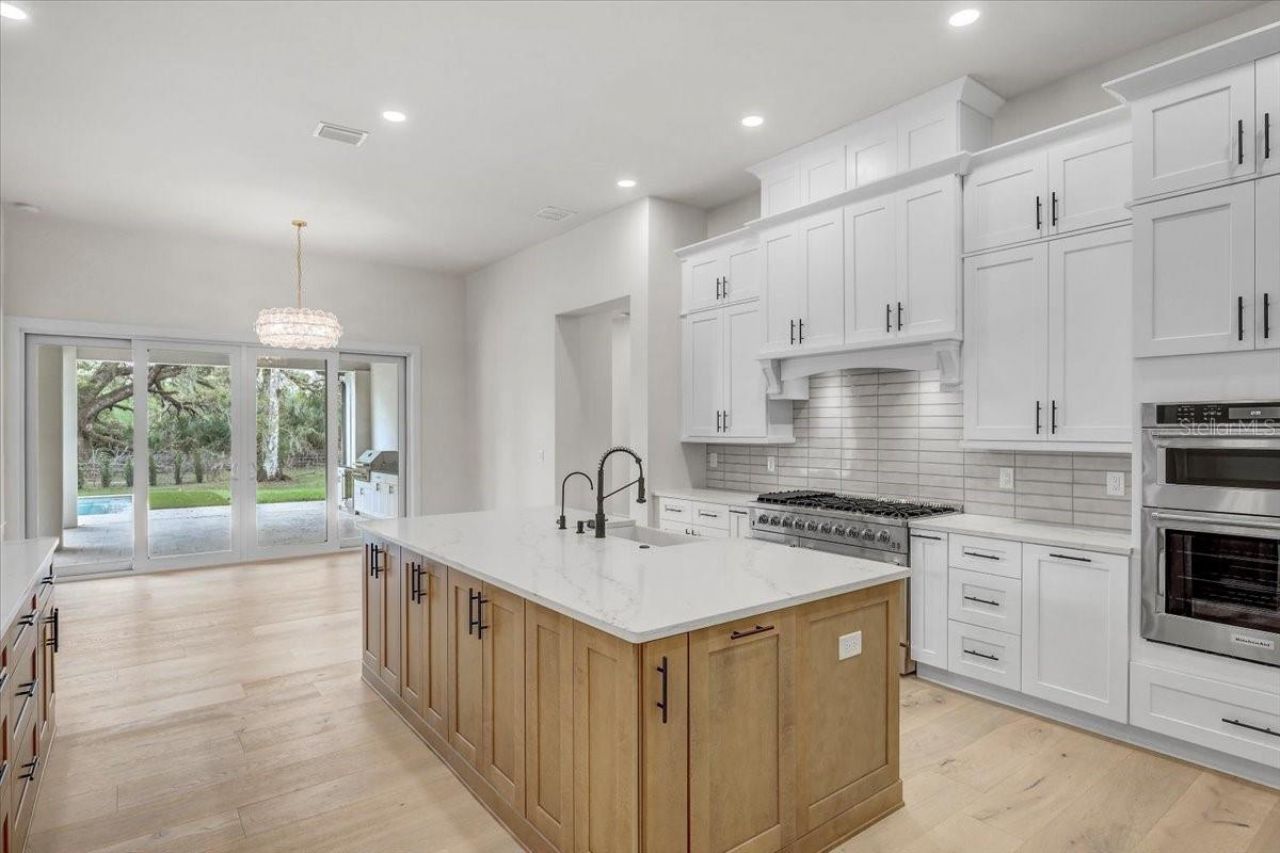 3317 Chase Jackson Branch, Lutz, FL 33559 Photo