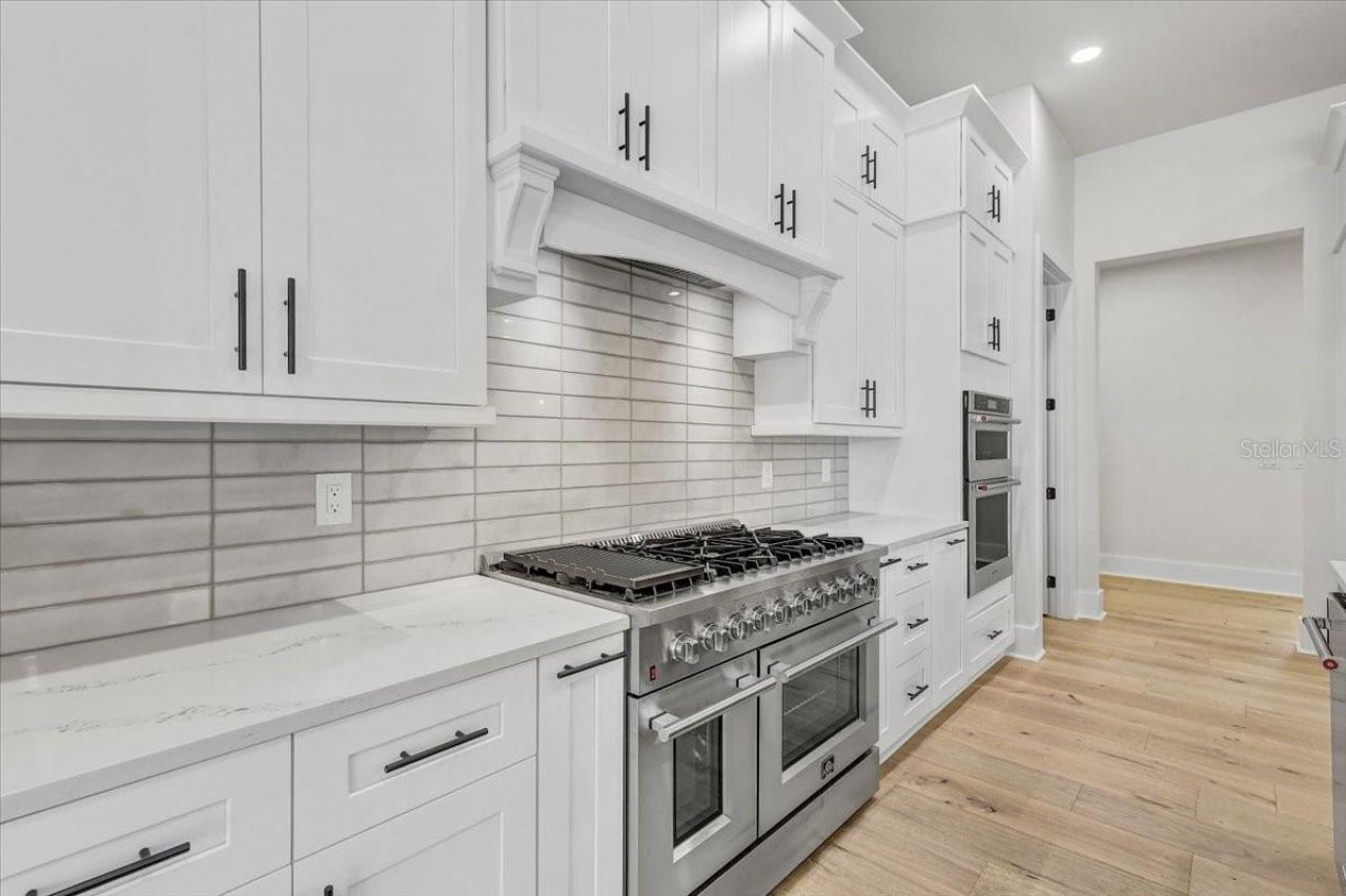 3317 Chase Jackson Branch, Lutz, FL 33559 Photo