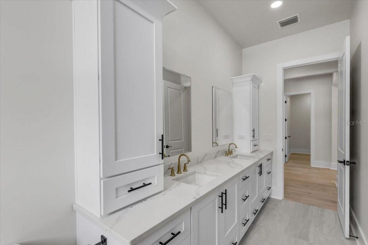 3317 Chase Jackson Branch, Lutz, FL 33559 Photo