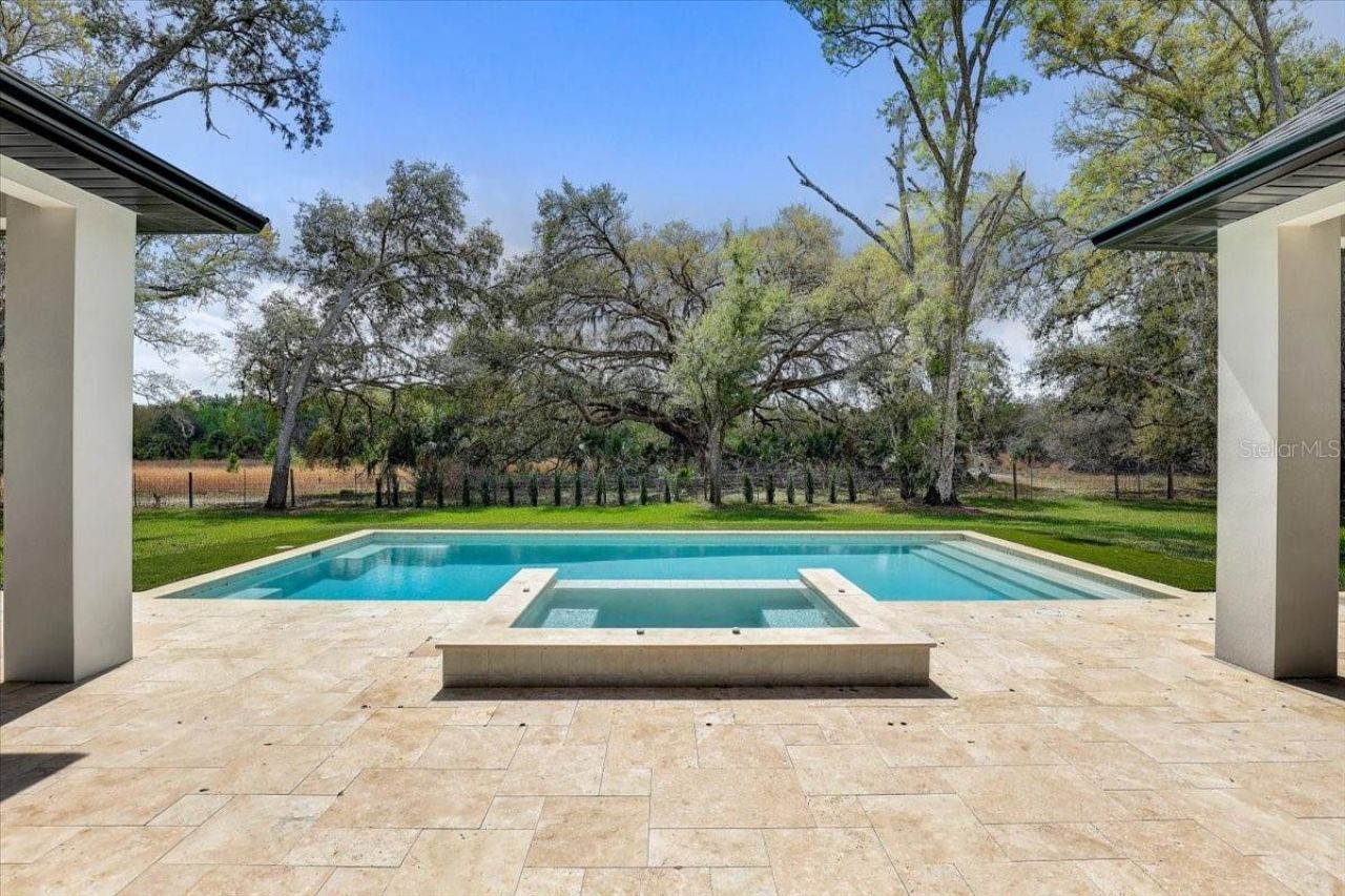 3317 Chase Jackson Branch, Lutz, FL 33559 Photo