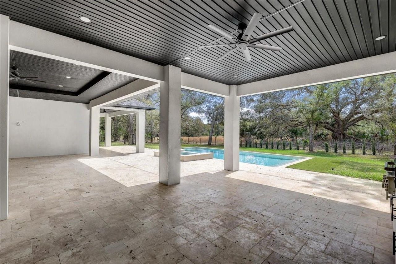 3317 Chase Jackson Branch, Lutz, FL 33559 Photo