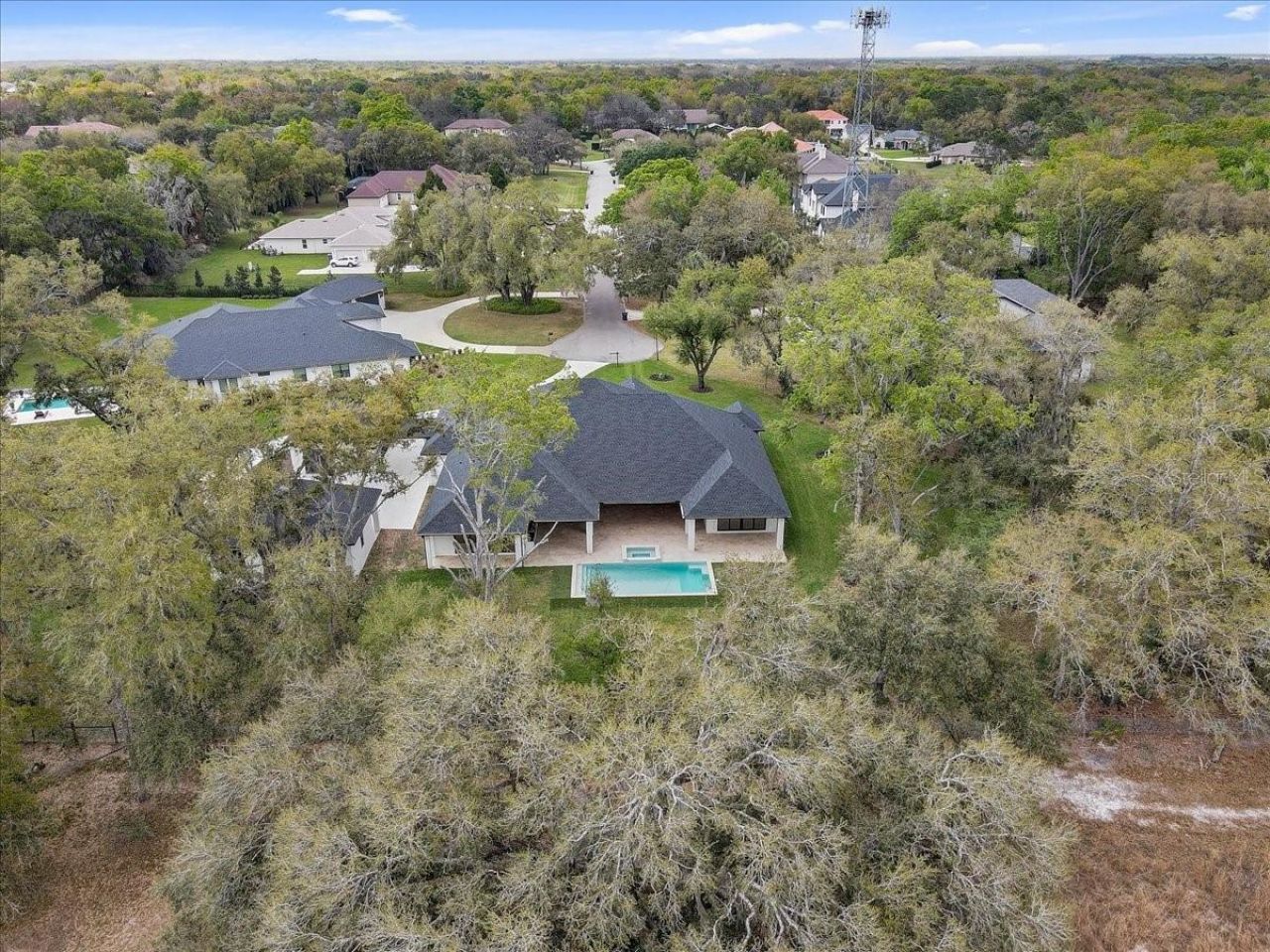 3317 Chase Jackson Branch, Lutz, FL 33559 Photo