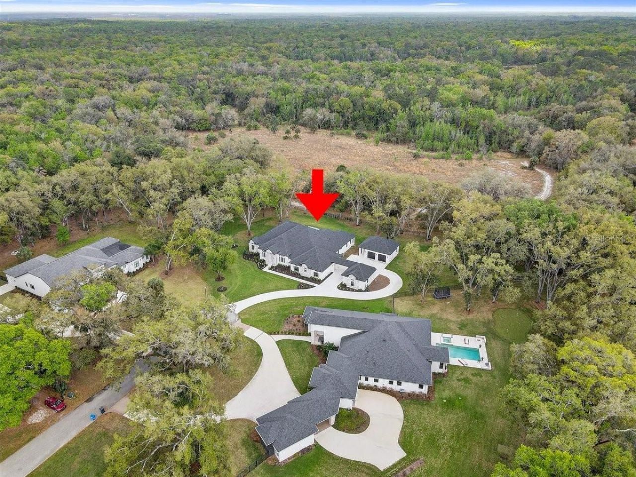 3317 Chase Jackson Branch, Lutz, FL 33559 Photo