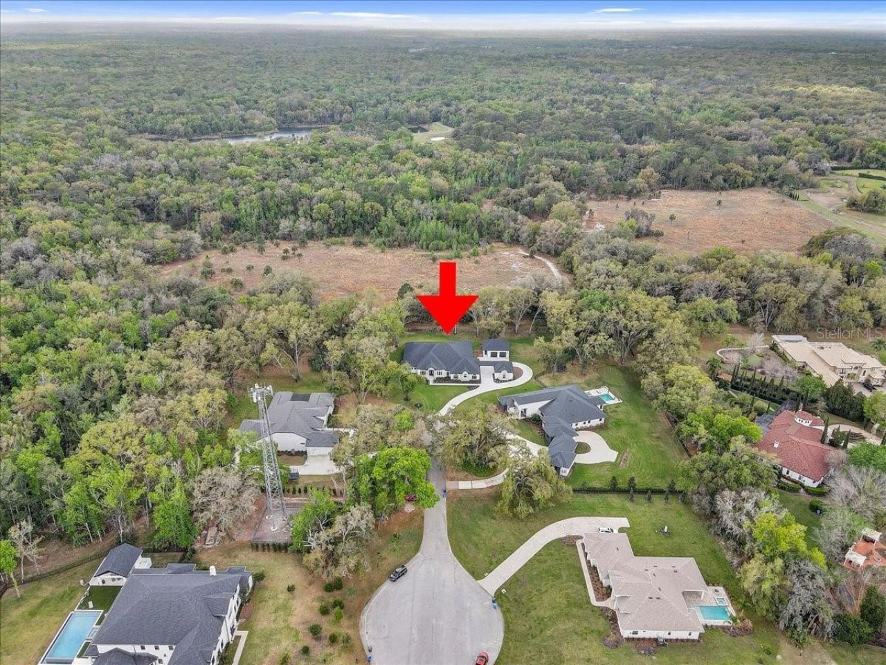 3317 Chase Jackson Branch, Lutz, FL 33559 Photo