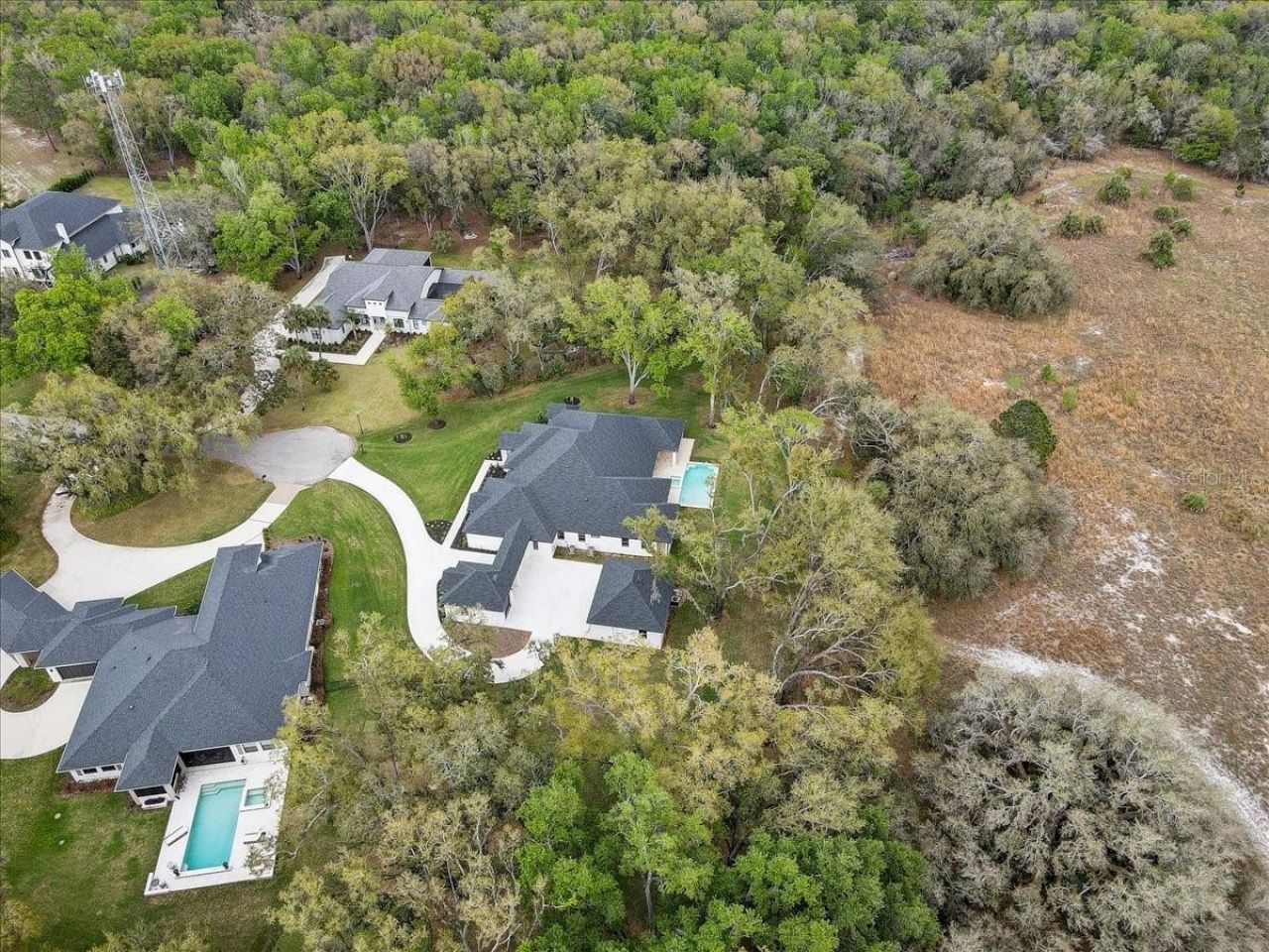 3317 Chase Jackson Branch, Lutz, FL 33559 Photo