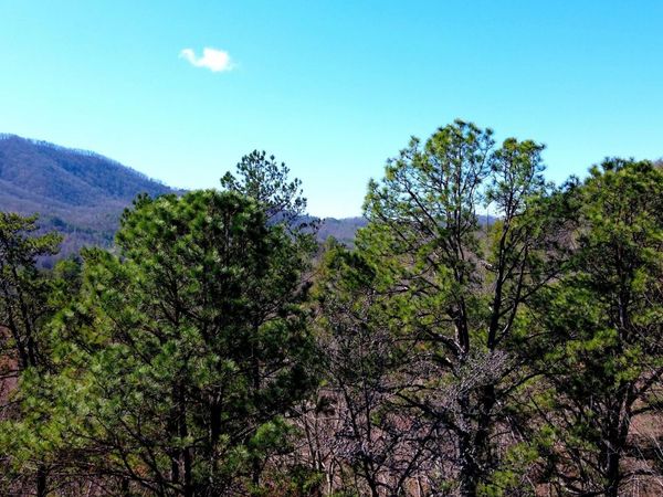 4 Walden Ridge Road, Sevierville, TN 37862