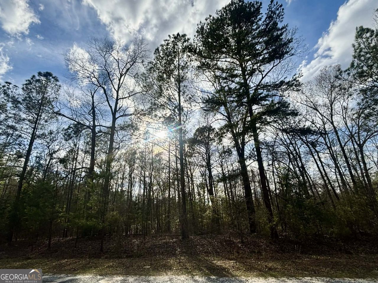 676 Tayler Paige Drive, Box Springs, GA 31801 Main Photo